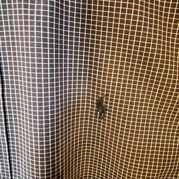 Ralph Lauren Blake Mens XL‎ Brown White Micro Checked Button Down Long Sleeve - Picture 4 of 7